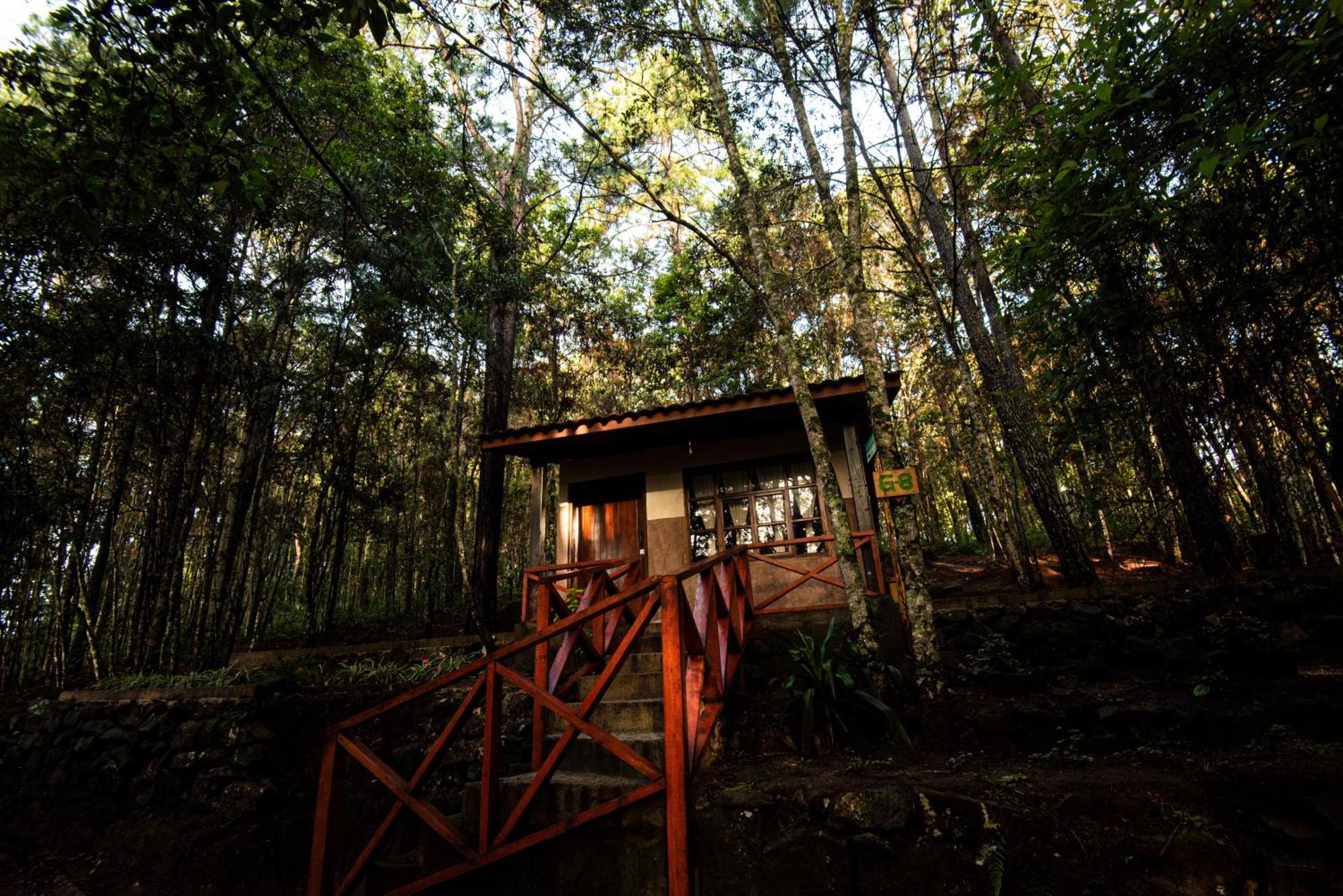 La Esperanza Cotan Ecolodge מראה חיצוני תמונה