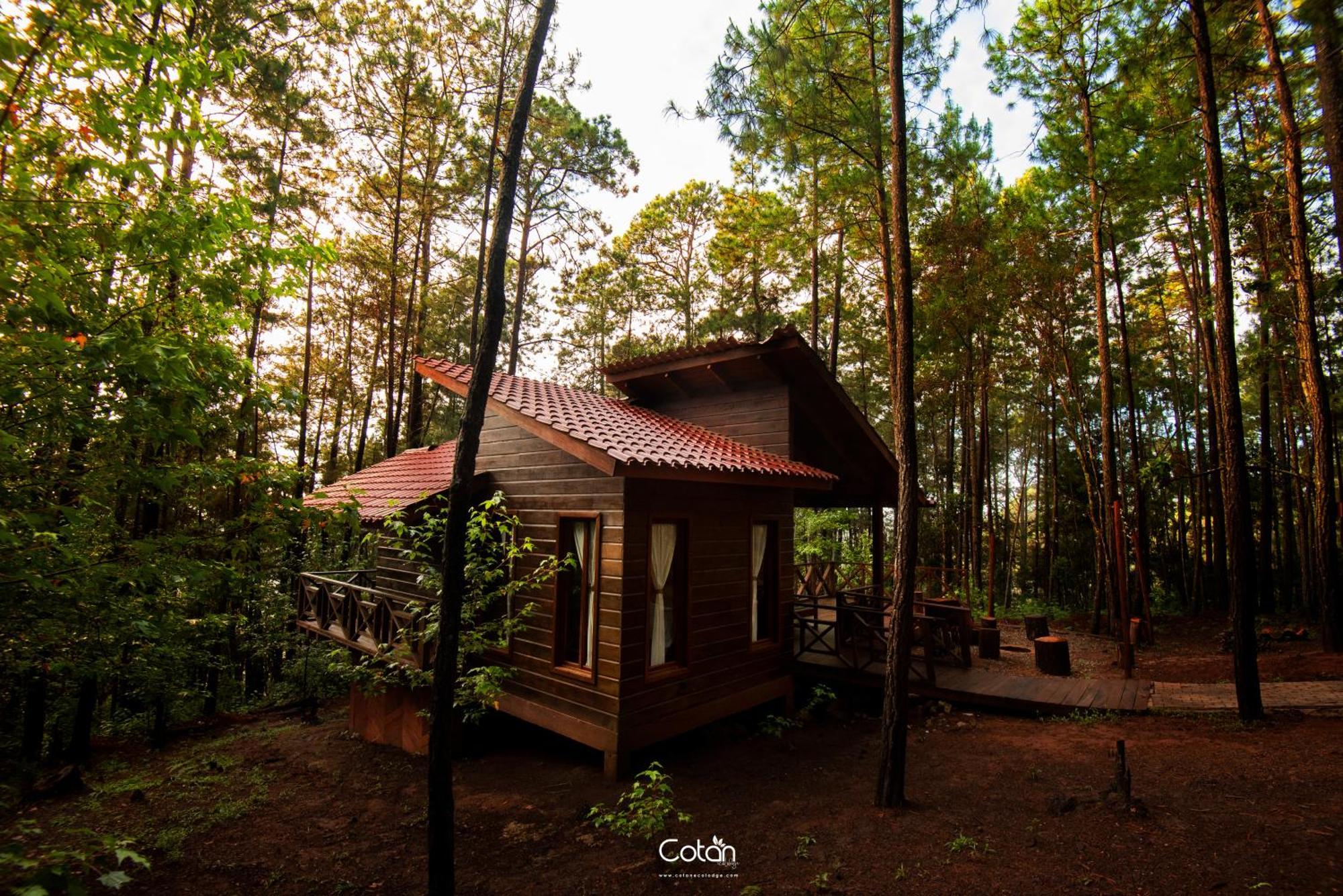 La Esperanza Cotan Ecolodge מראה חיצוני תמונה