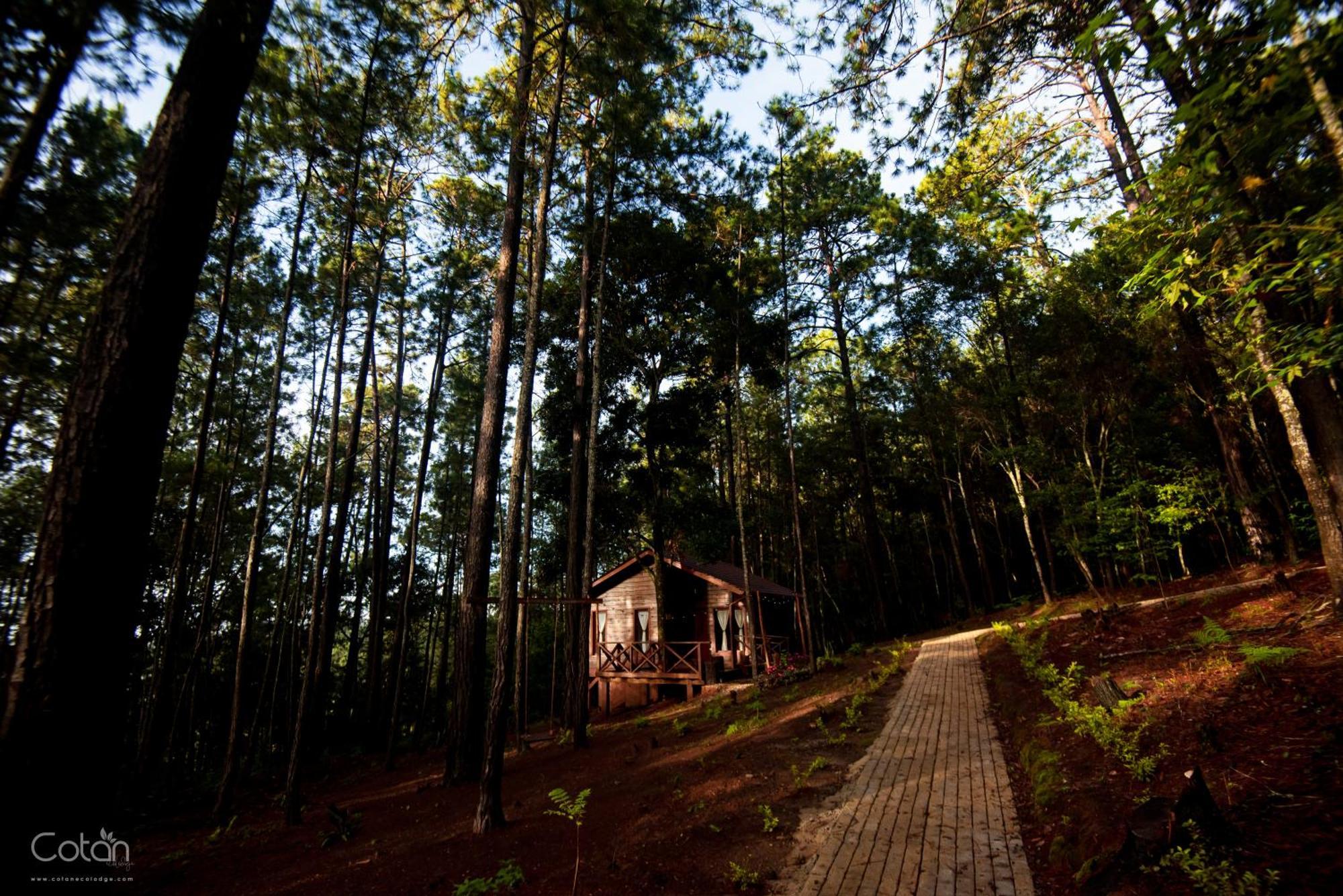 La Esperanza Cotan Ecolodge מראה חיצוני תמונה